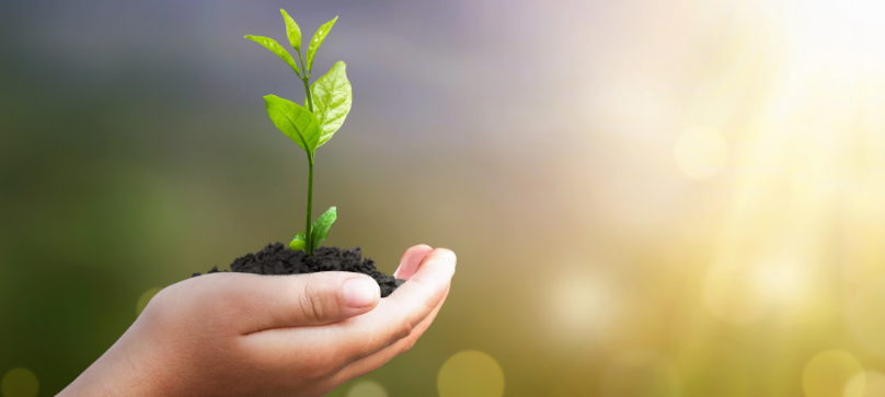 Investment company kuching