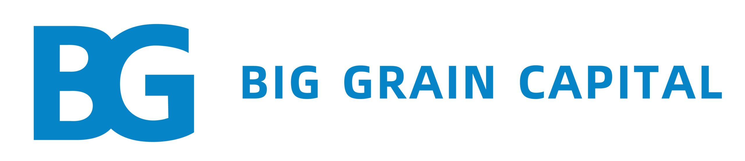 BG Capital and Credit logo