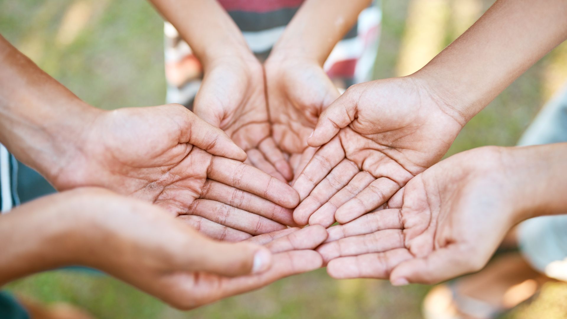 Investment company kuching